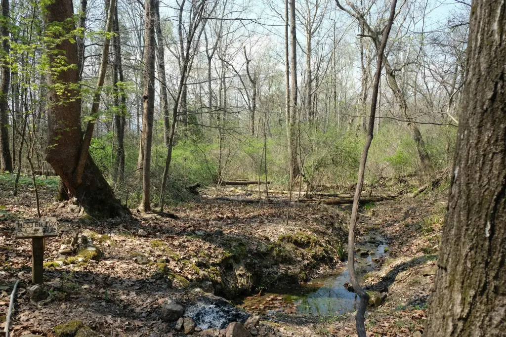 Picture 4