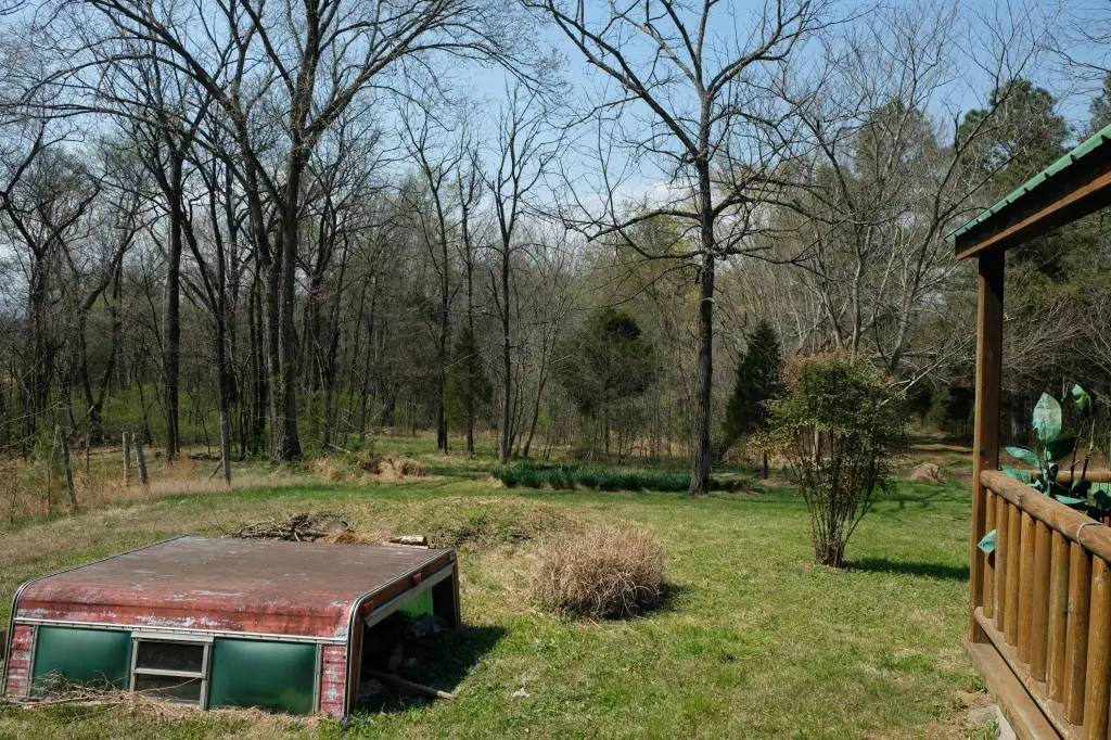 Picture 15