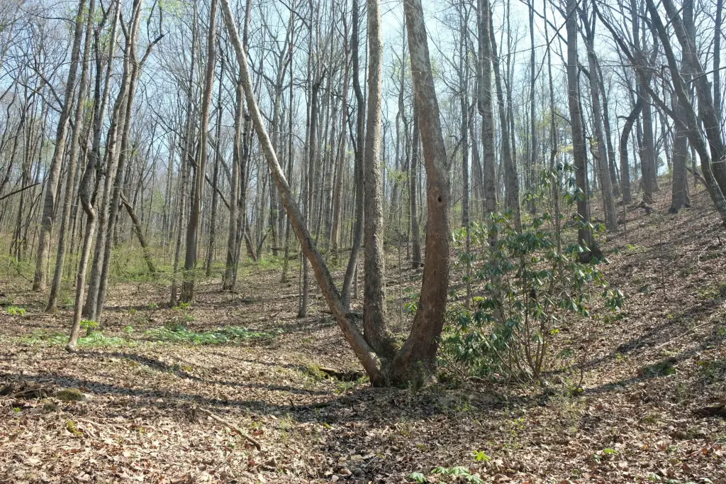 Picture 2