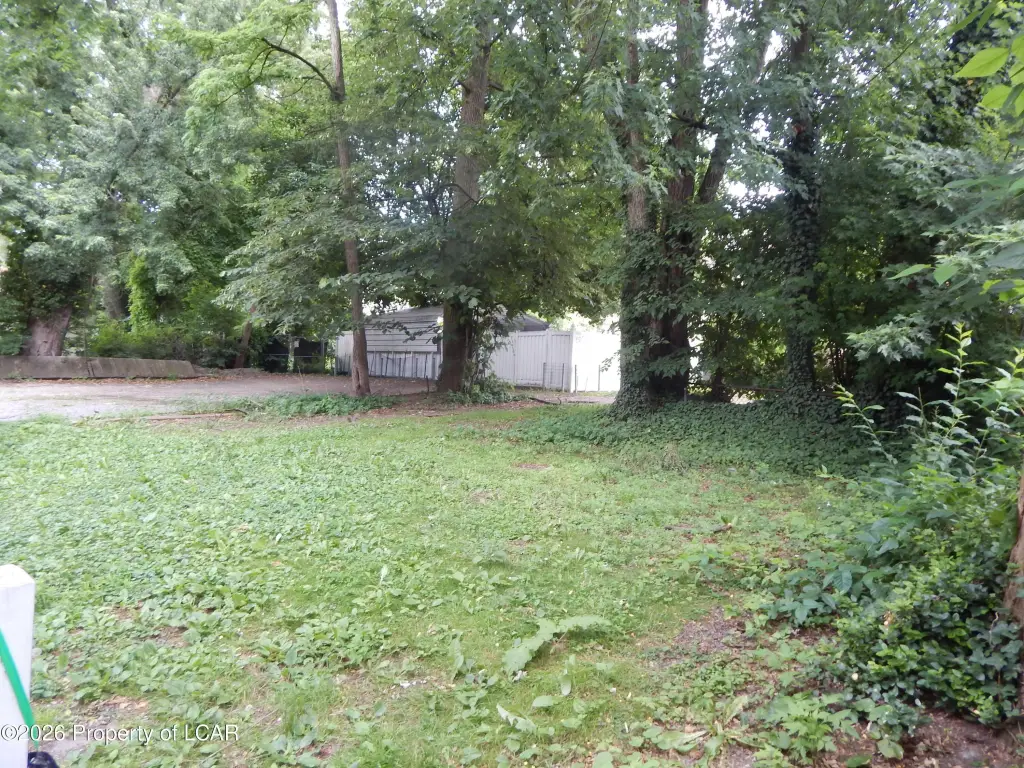 Picture 9