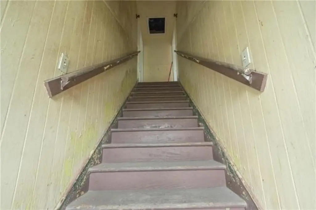 Picture 25