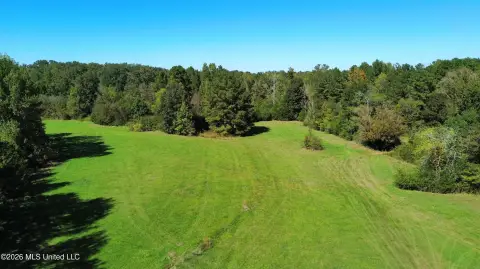 Pastureland with Creek