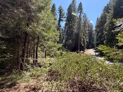 Land in Forested Surroundings