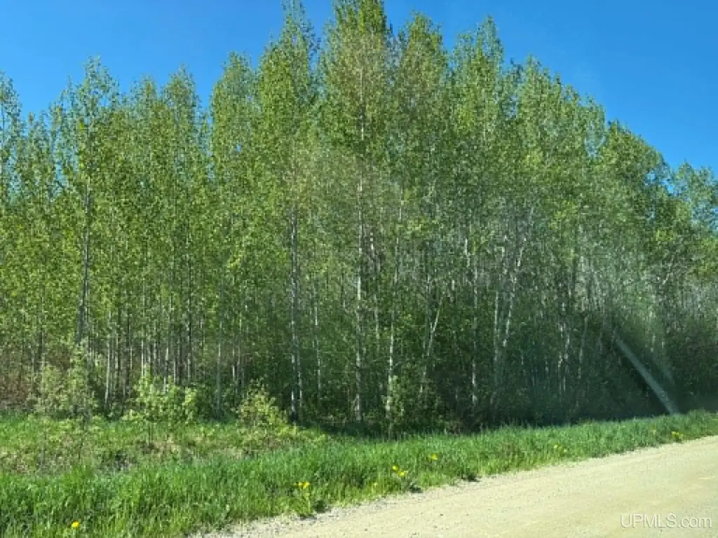 Picture 7
