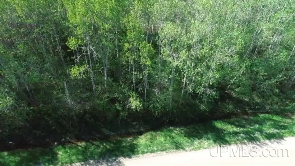 Picture 18
