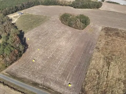 Elloree Farmland with Development Potential