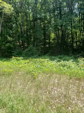 Residential Land in Harrison, MI
