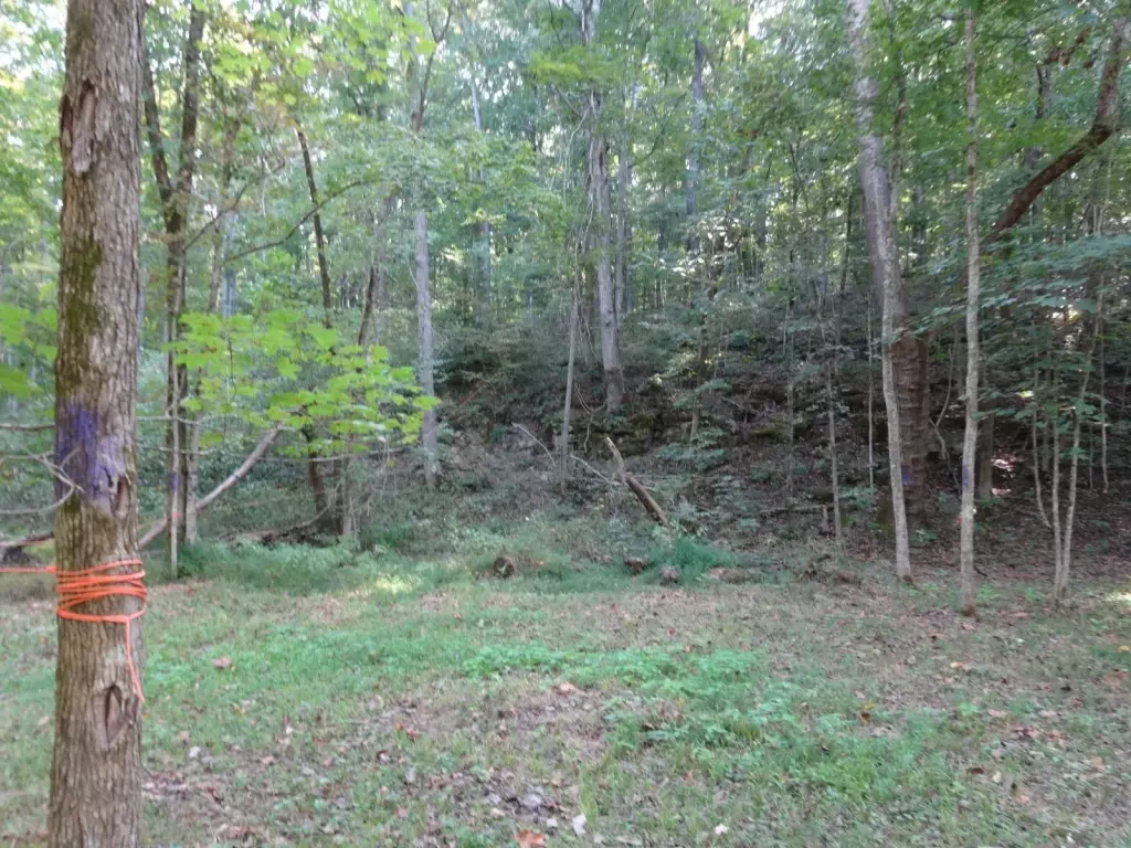 Picture 8
