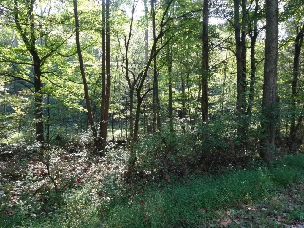 Picture 3