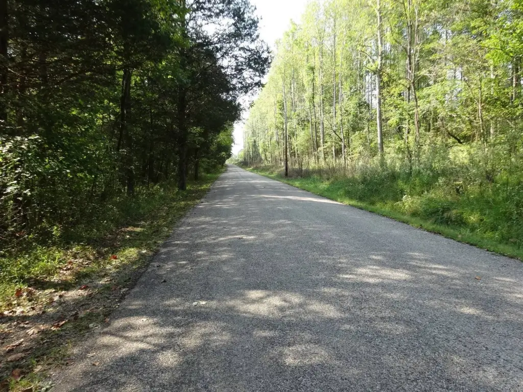 Picture 6