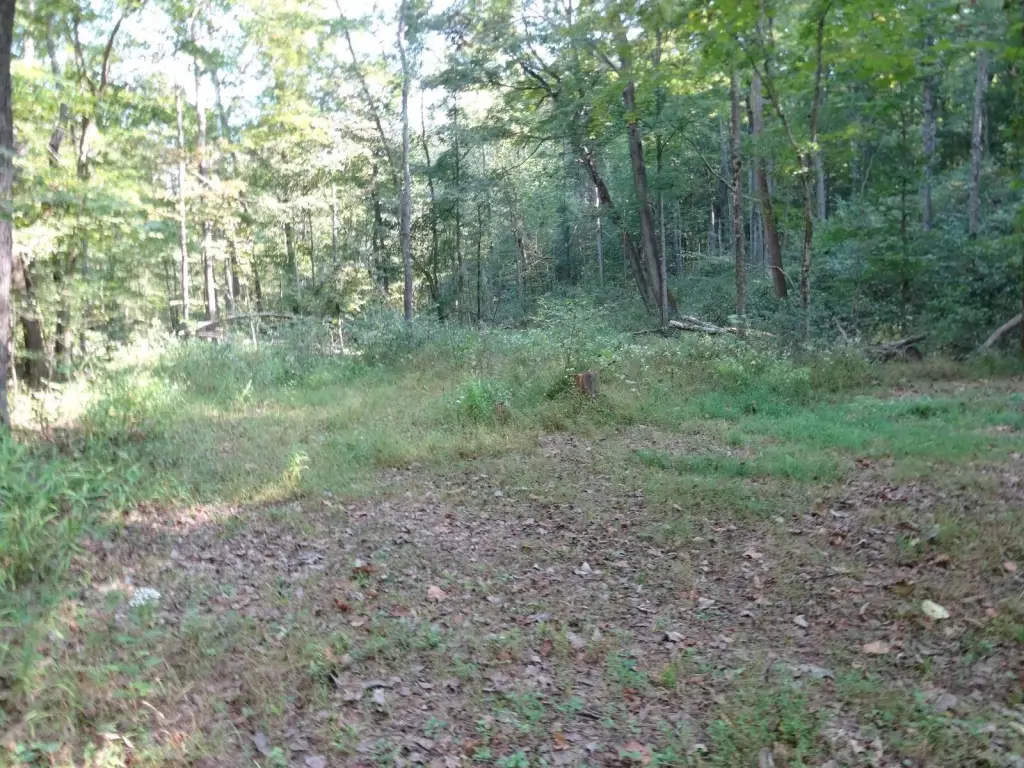Picture 9