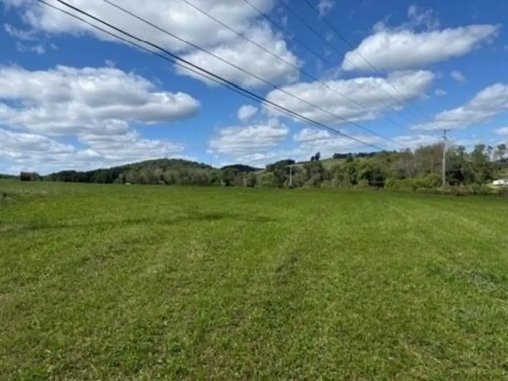 Picture 3