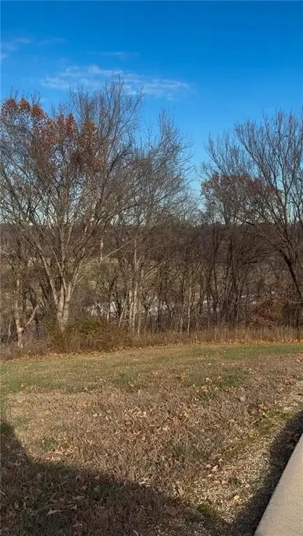 Picture 2