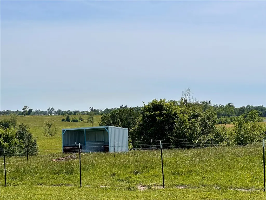 Picture 16