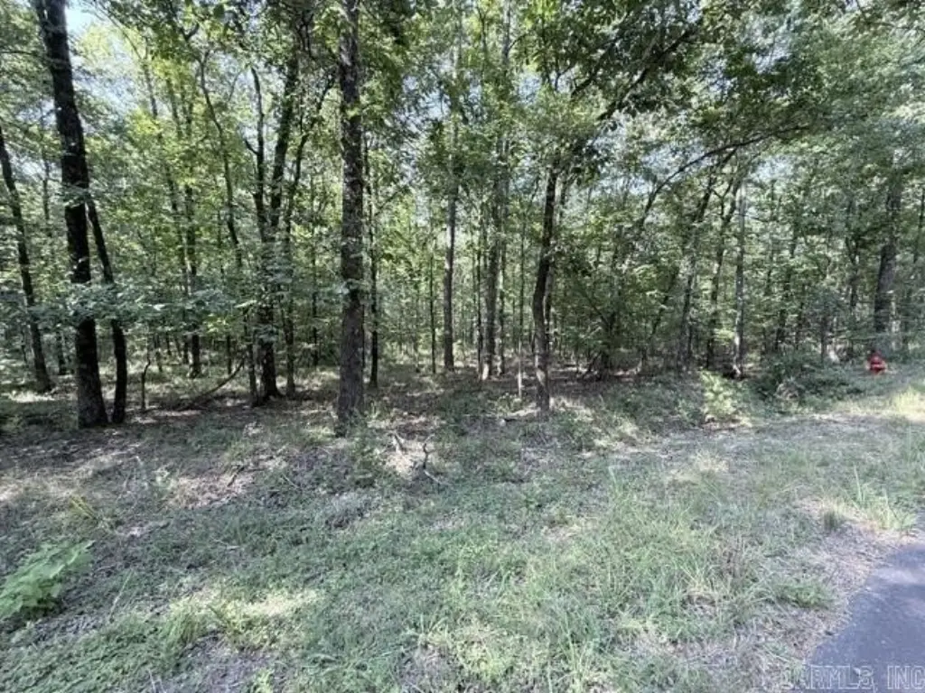 Picture 10