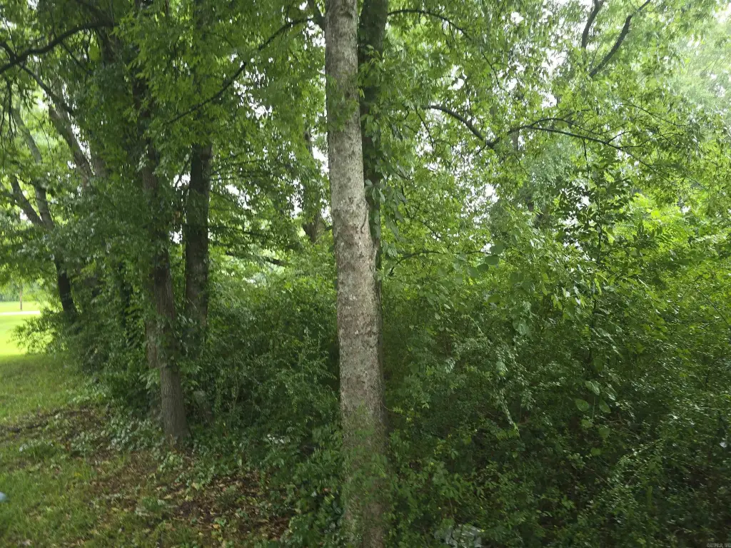 Picture 4
