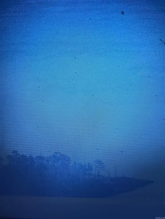 Picture 4