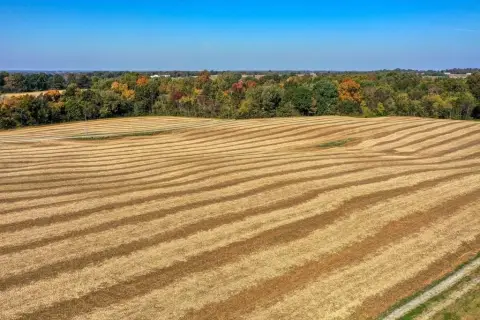 Gibson County Farmland Opportunity