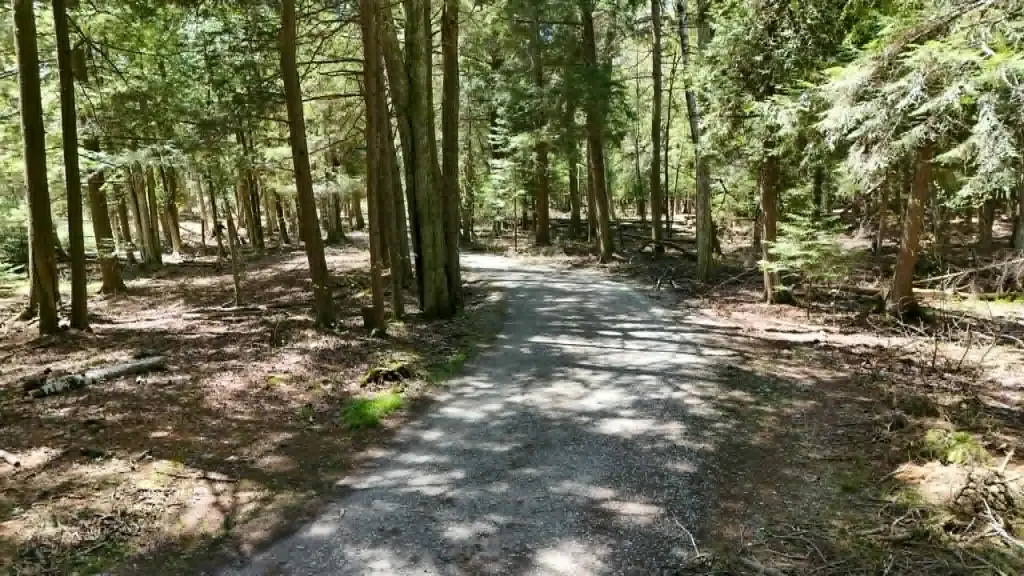 Picture 13