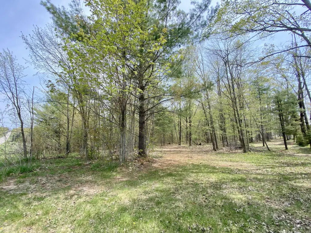 Picture 16