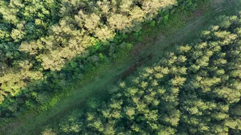 Hazlehurst Hunting Land For Sale