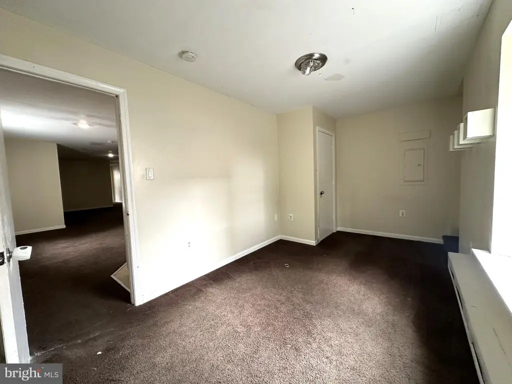 Picture 41