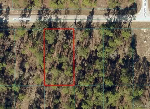Vacant Lot in Rainbow Lakes