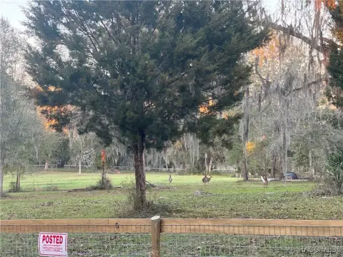Fenced Land with New Well