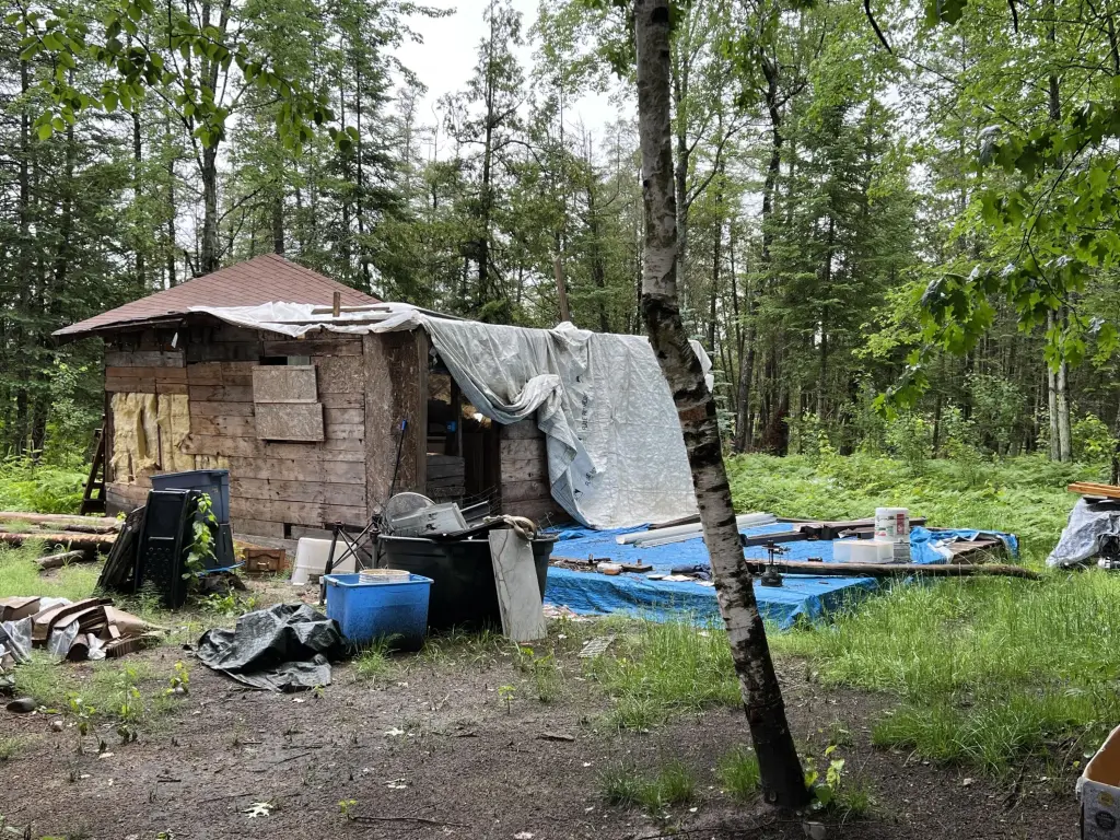 Picture 5