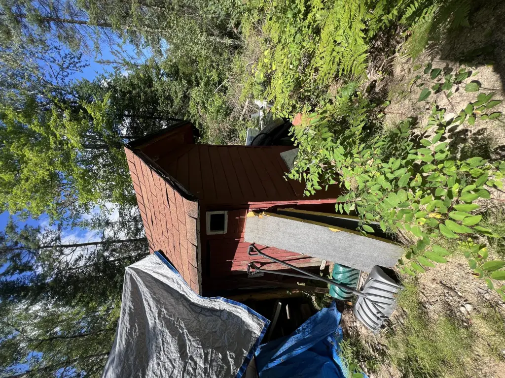 Picture 11