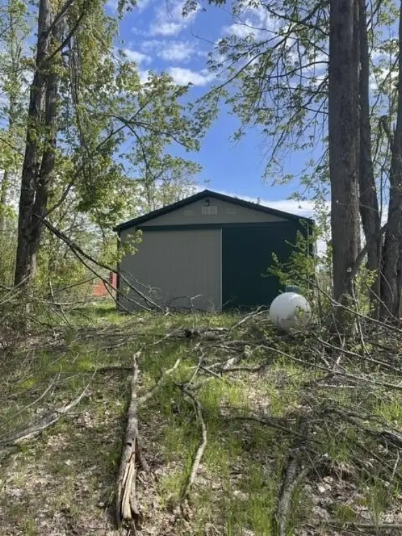 Picture 5