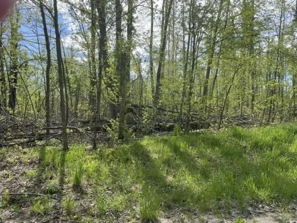 Picture 4
