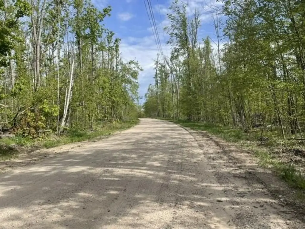 Picture 11