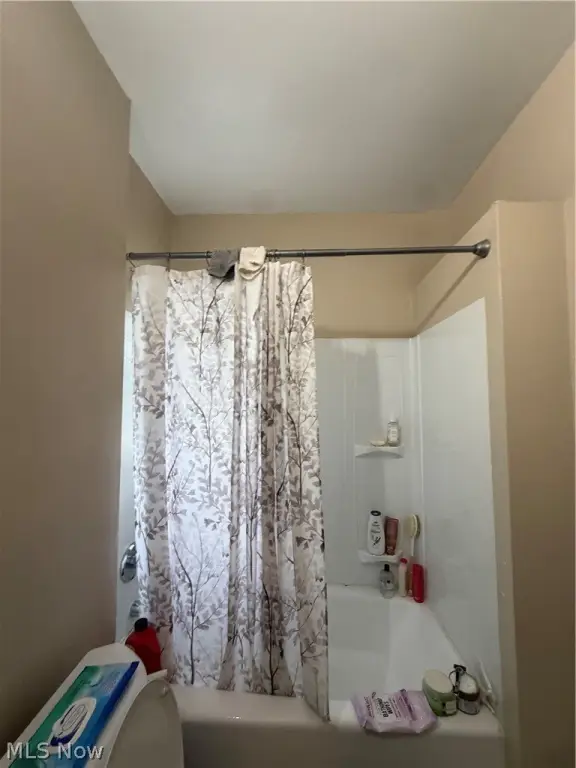 Picture 11