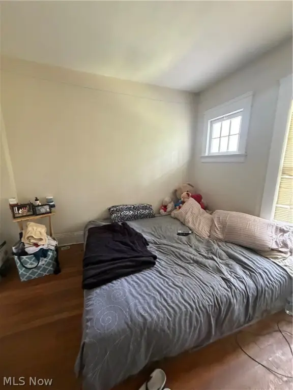 Picture 5