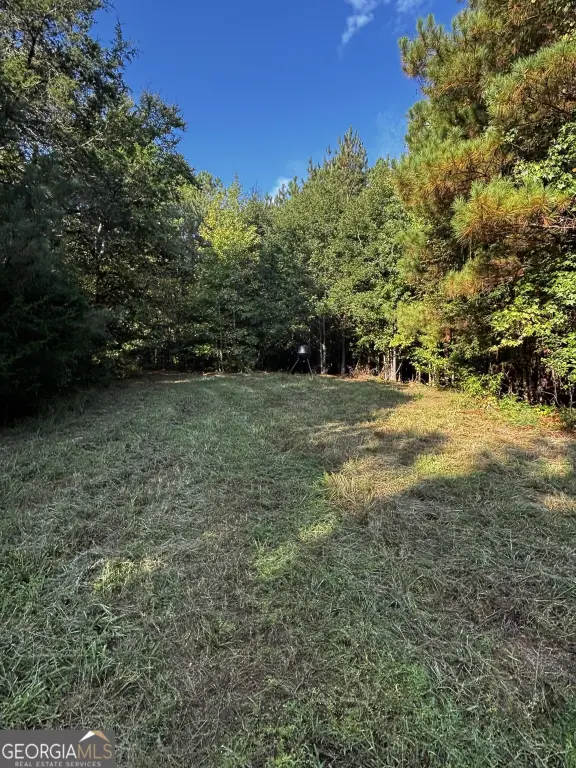Picture 6
