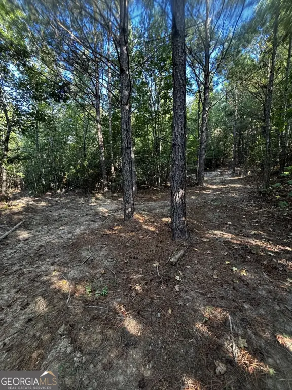 Picture 22