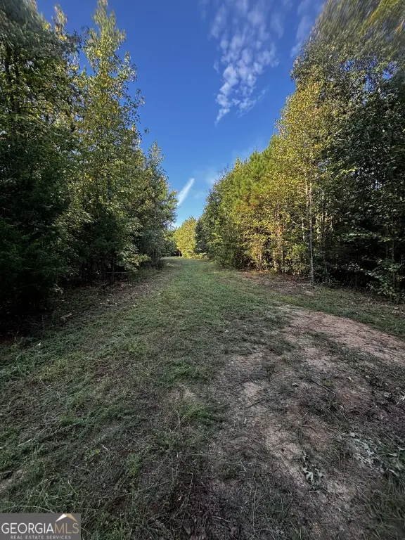 Picture 30