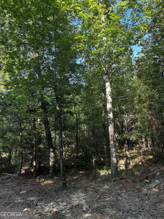 Picture 21