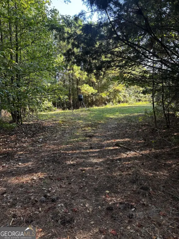 Picture 25