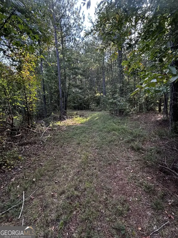 Picture 29