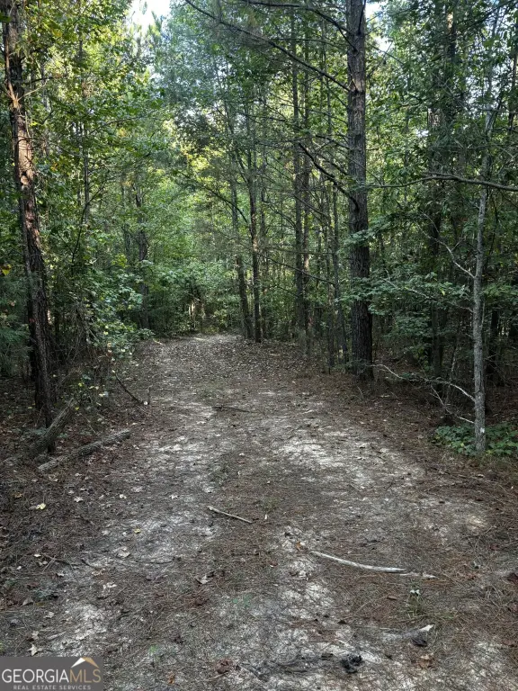 Picture 24