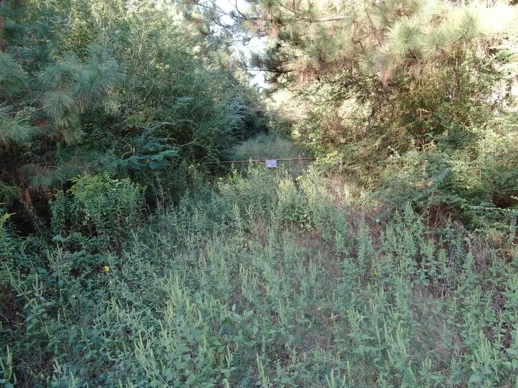 Picture 19