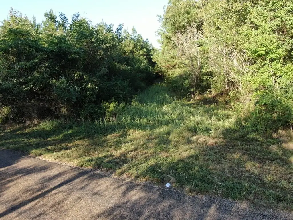 Picture 11