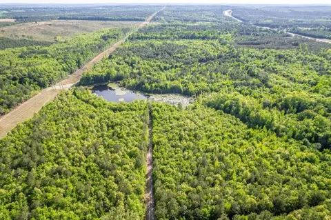 195+ Acres on Highway 441