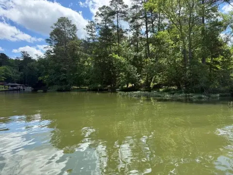 Lake Sinclair Unimproved Wooded Lot