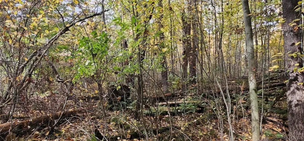 Picture 25