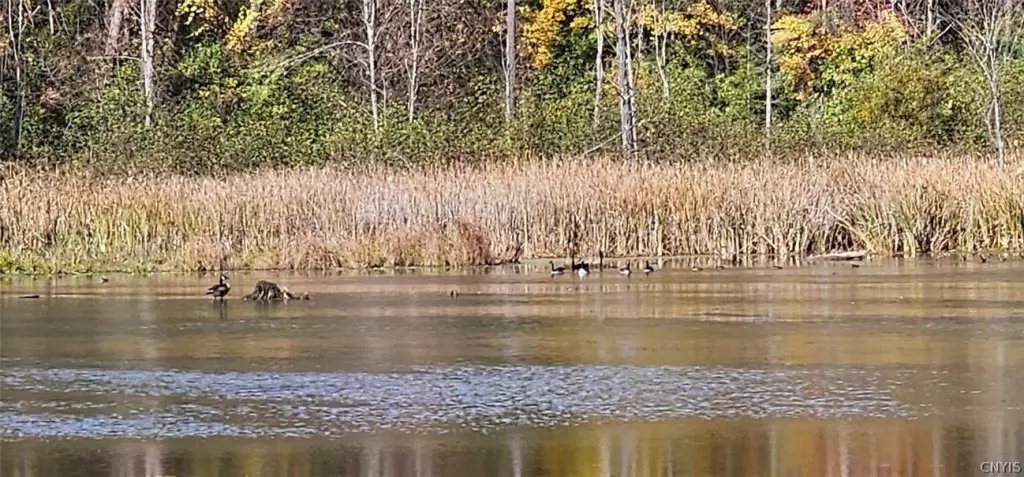 Picture 16