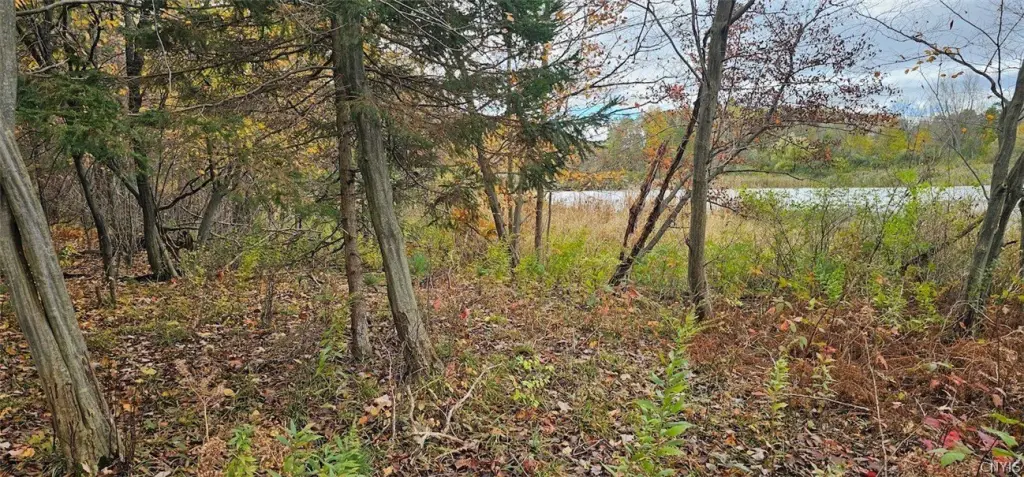 Picture 20