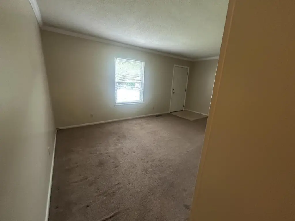 Picture 28